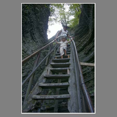 Лесенка к одному из каскадов водопада Шапсуг.